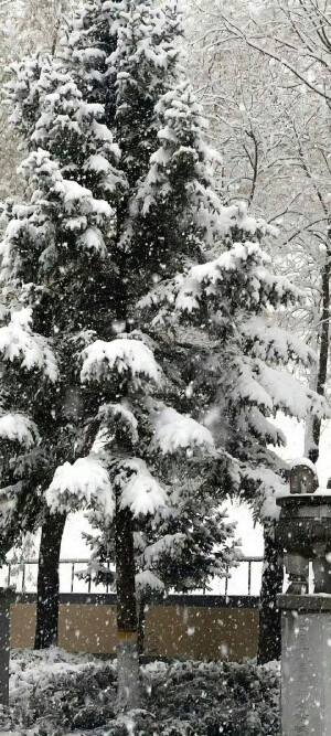 雪景壁纸