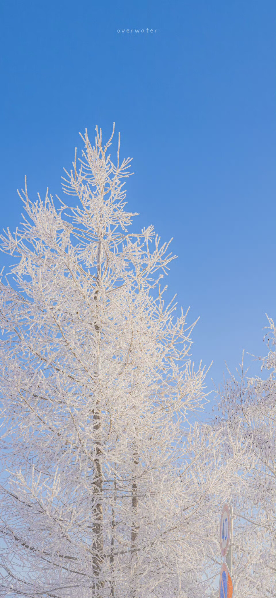 雪景壁纸