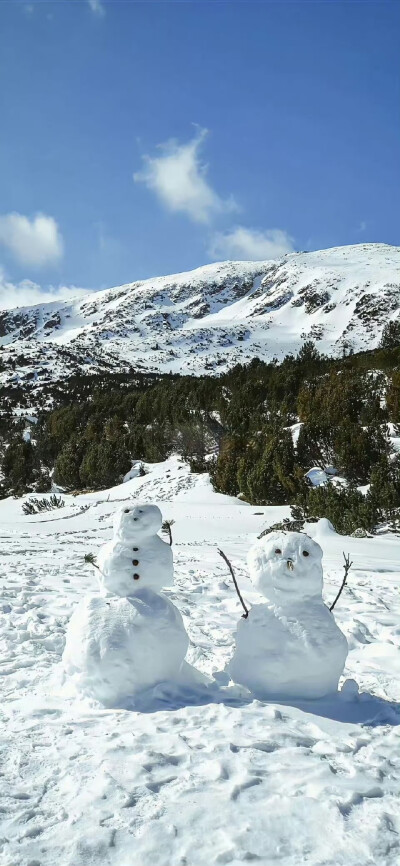 雪景壁纸