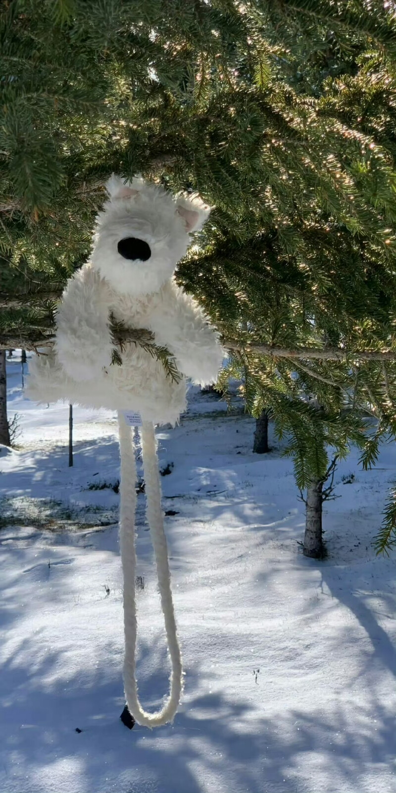 雪景壁纸