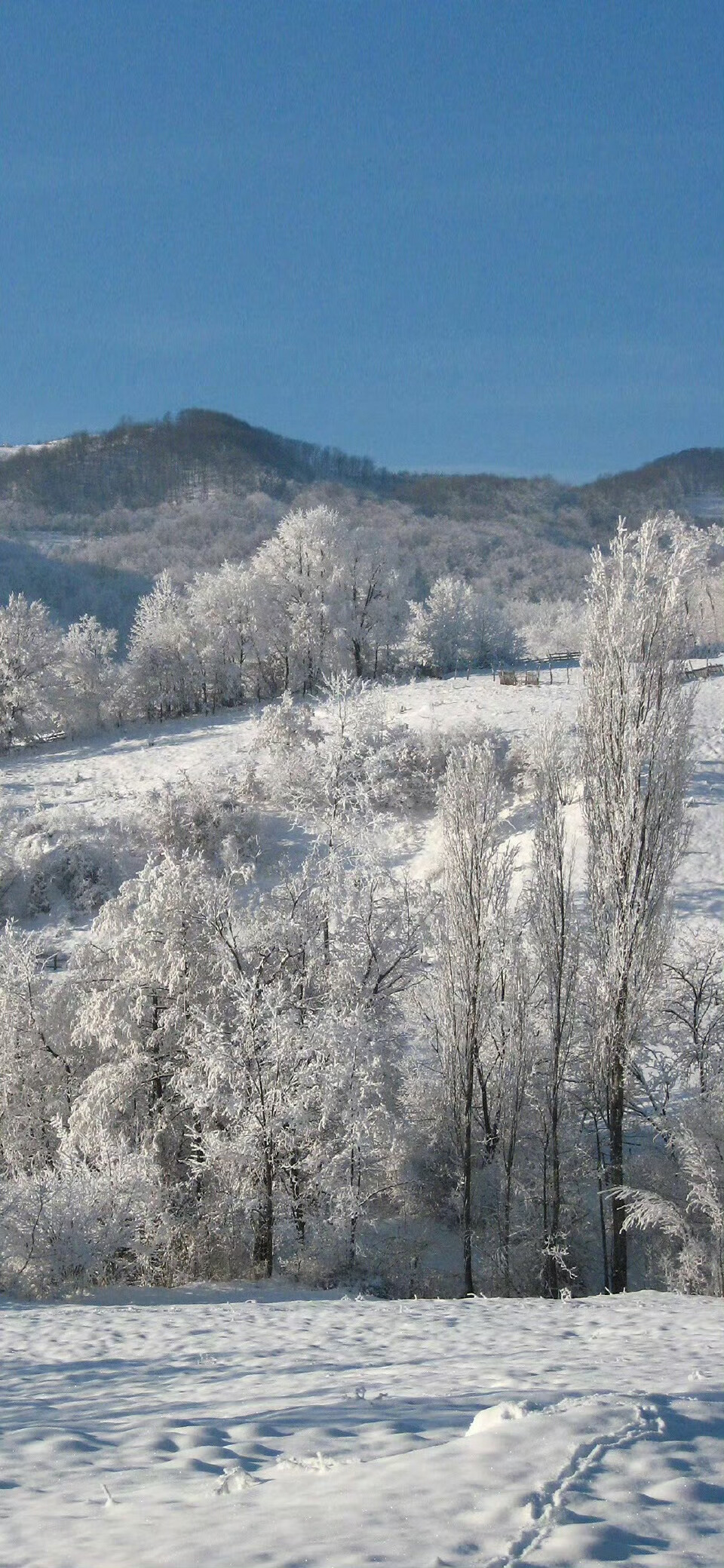 雪景壁纸