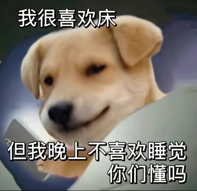 表情包