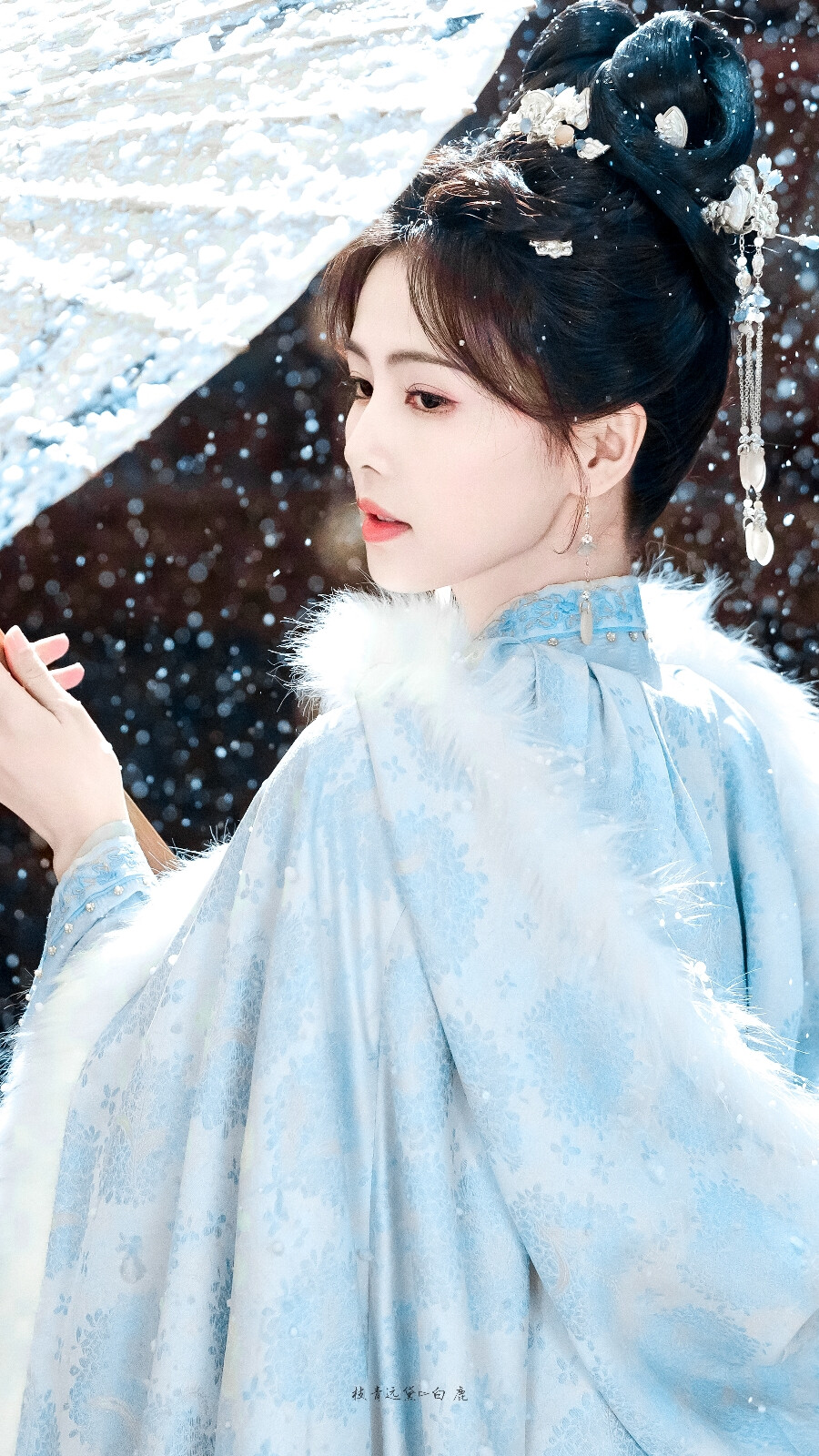 姜雪宁×白鹿 cr:枝青远黛