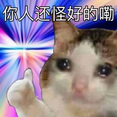 搞怪表情包