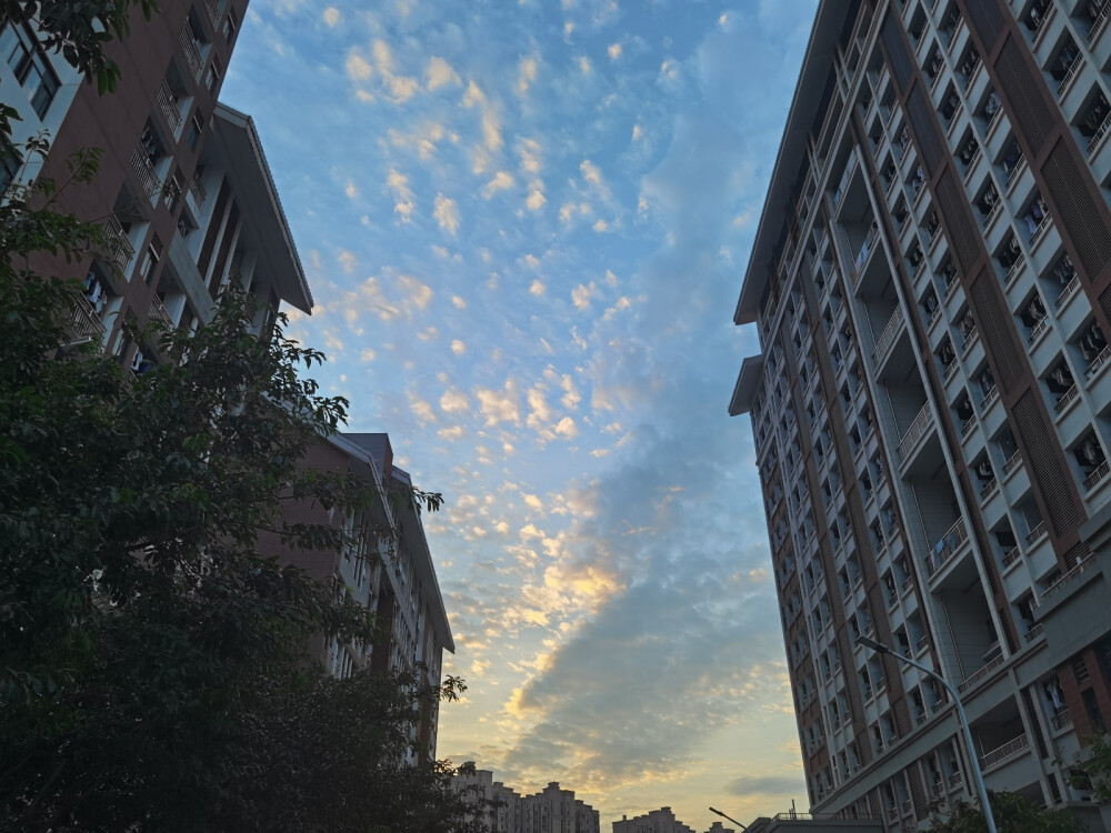 云像张开的翅膀，但是会掉羽毛。夕阳是羽毛上点燃的火焰，这是一只凤凰（旭凤）(˵¯͒〰¯͒˵)