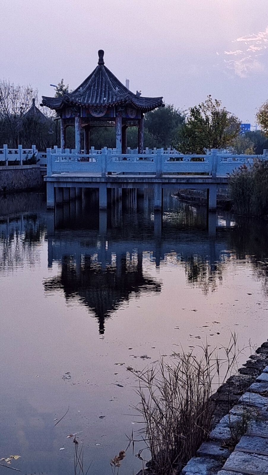 荷风园河中亭阁。每每来到荷风园，都要在通往福苑里的护城河桥中凉亭停留，望着护栏边同根姊妹树，感慨人生联想万千，小城里外故事多。随着日出日落季节的交替，来也匆匆去也匆匆，又有谁在意过故乡的颜色。我来我走无人问津，只有河桥目来目送。