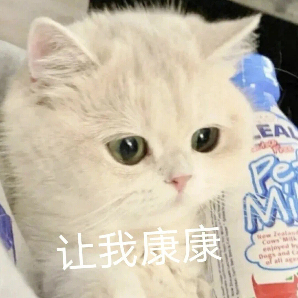 可爱猫咪表情包