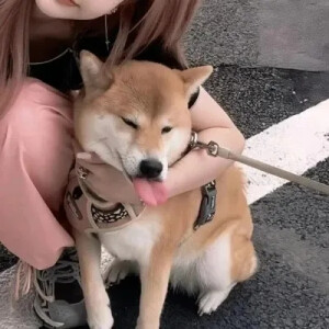 对象不是人女生头像喜欢点赞关注收藏