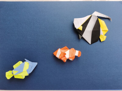 折纸 小丑鱼、马夫鱼（白文立旗鲷）、斜带吻棘鲀