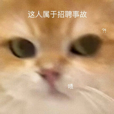 修猫表情包