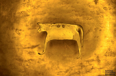 《黄金公牛》
这块黄金出土自保加利亚瓦尔纳遗址。古代保加利亚工匠们可能是利用附近河流采集来的天然金块来塑造这种类似公牛的动物形象。摄影：Krasimir Andonov