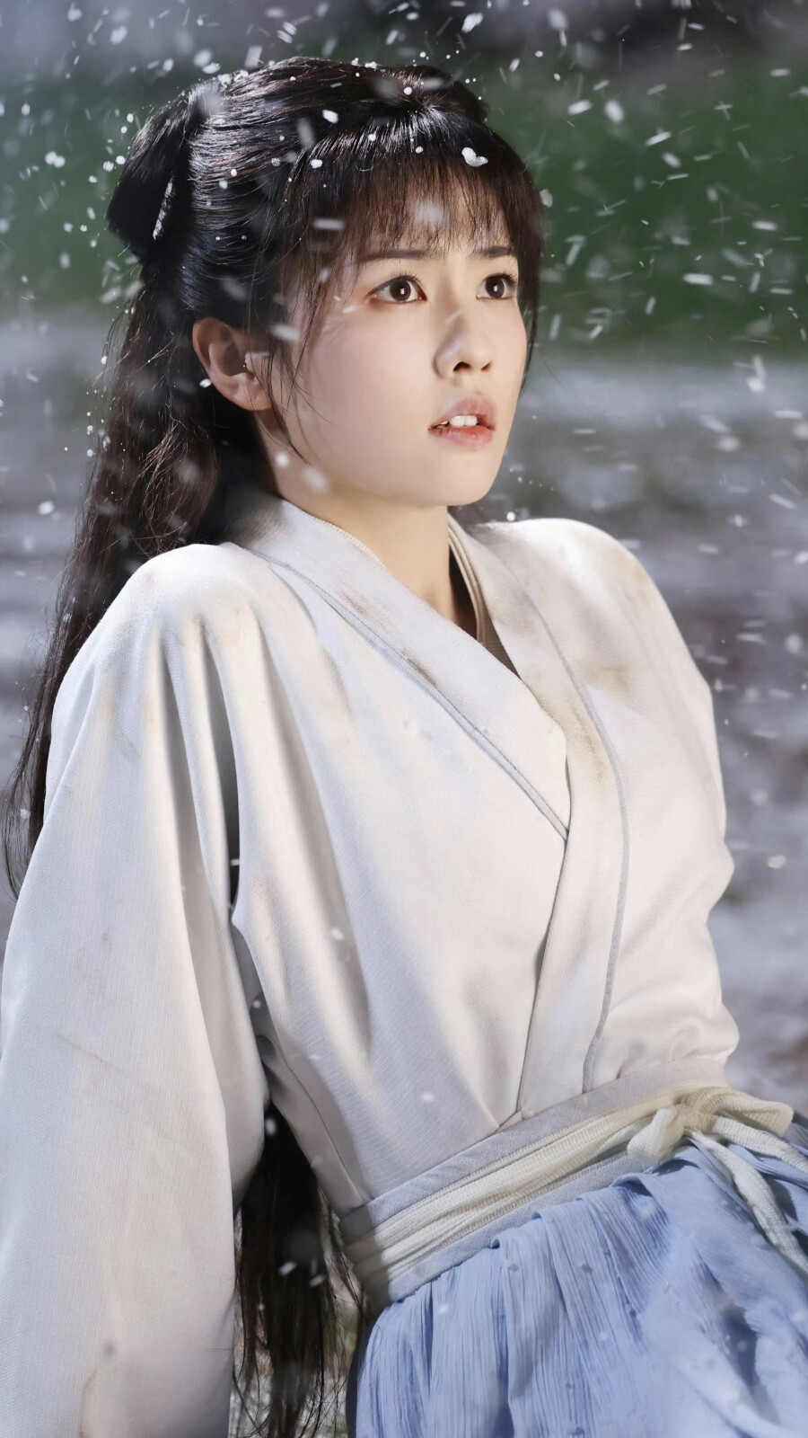 宁安如梦 姜雪宁 白鹿