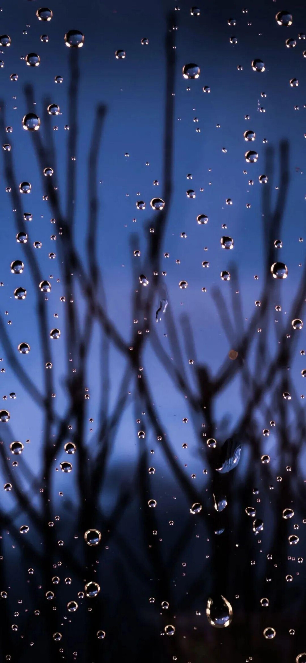 雨滴屏壁纸