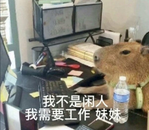 表情包