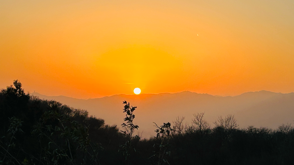 风景照