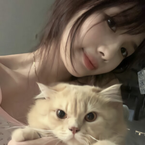枫