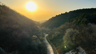 风景照