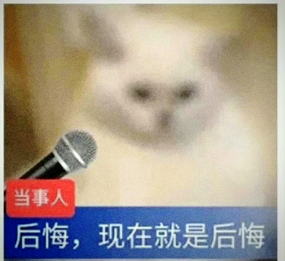 猫猫带文字表情包