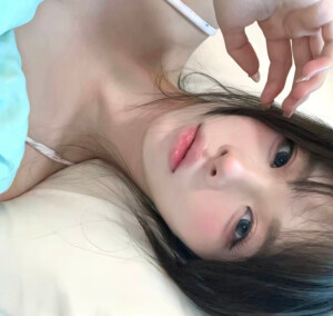 枫