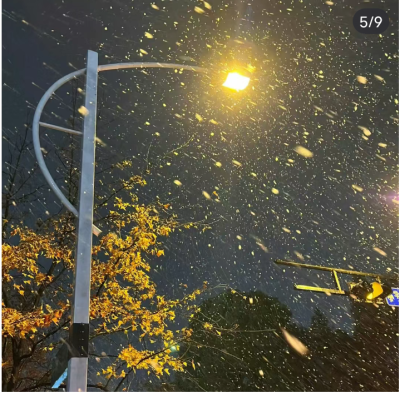 下雪了真好看哎对了你们那下雪了吗嘿嘿