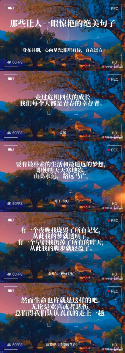 文字