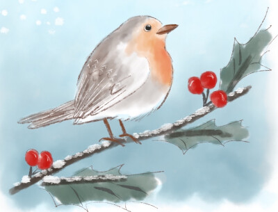 Today, one of my end users found me to solve her system using problems. She is a bird watching person. she told me in British. The robin is usually drawn on the Christmas card with snow. It is symboli…