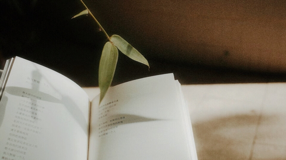 剧情橙光素材·baekbuuh