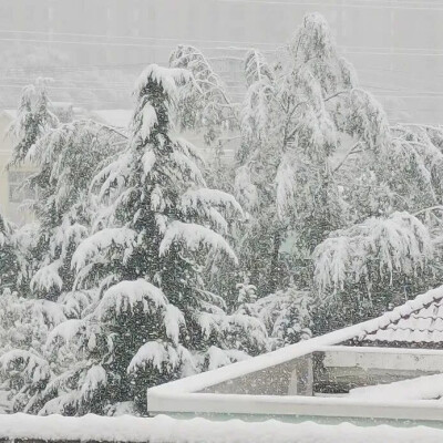 下雪啦WeChat朋友圈冬日背景图