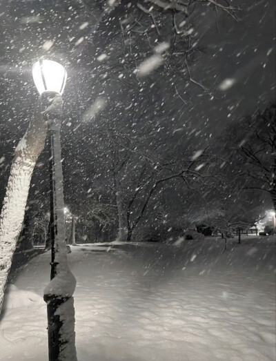 雪景背景图分享