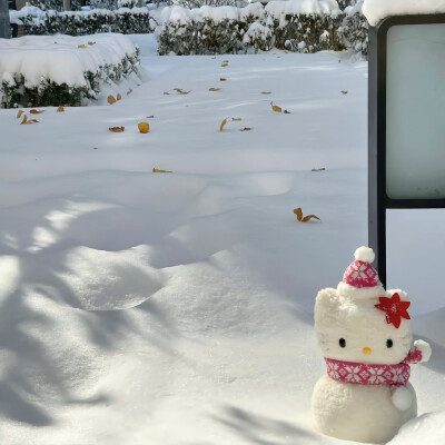 下雪啦WeChat朋友圈冬日背景图