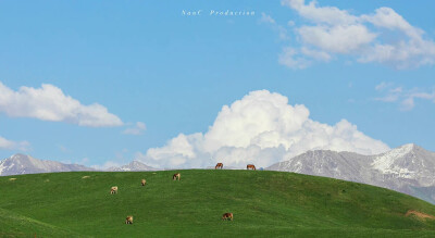 睡前原谅所有人和事♡