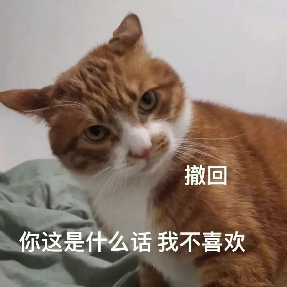 修猫表情包