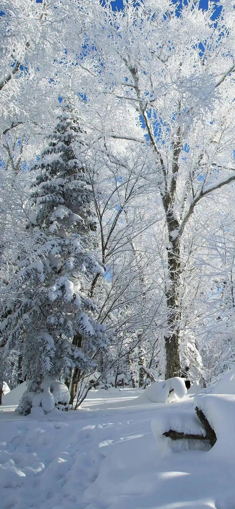 冬日下雪风景壁纸