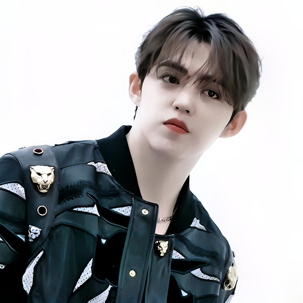 “你在我眼中亦如黎明中的盛放的花朵。”
【SEVENTEEN 崔胜澈 S.Coups】
cr.罗幼熙