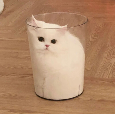 hh