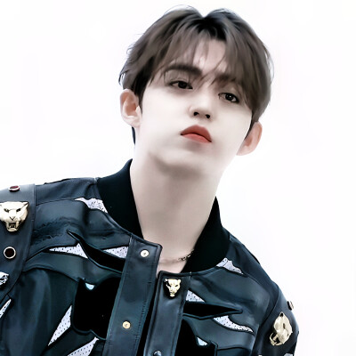 “你在我眼中亦如黎明中的盛放的花朵。”
【SEVENTEEN 崔胜澈 S.Coups】
cr.罗幼熙