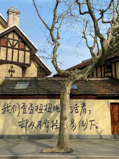 背景，字