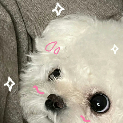 可爱小动物让你爱上她了