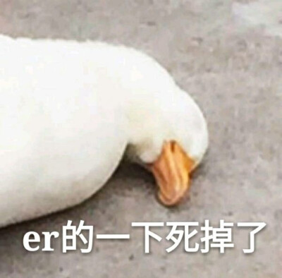 Er的一下