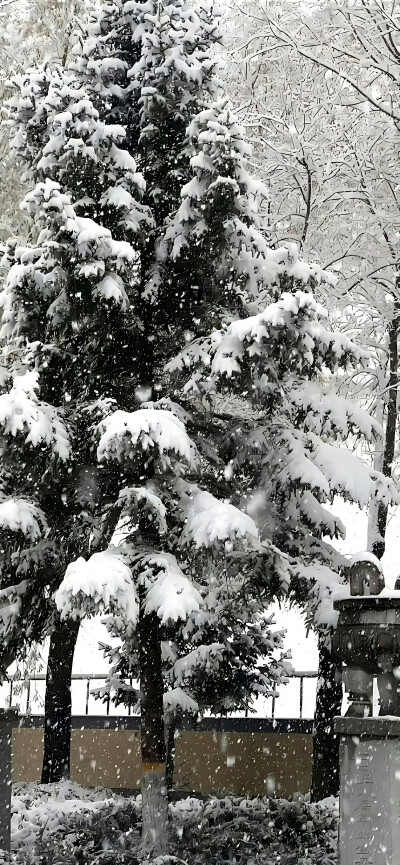 壁纸，风景，冬，雪，烟花，秋