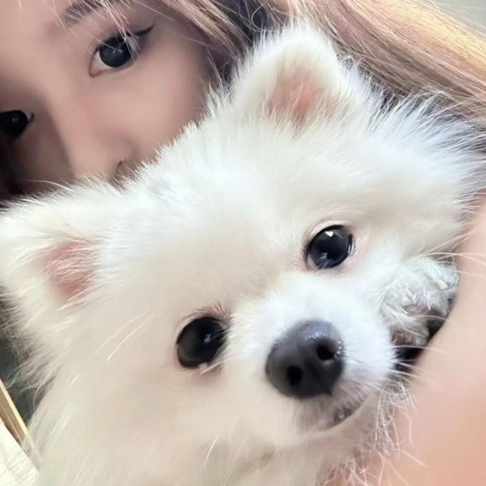 对象不是人
抱宠情头
女生头像
喜欢点赞关注收藏