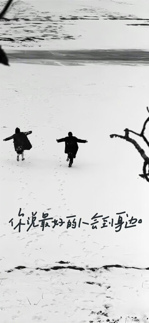 没图