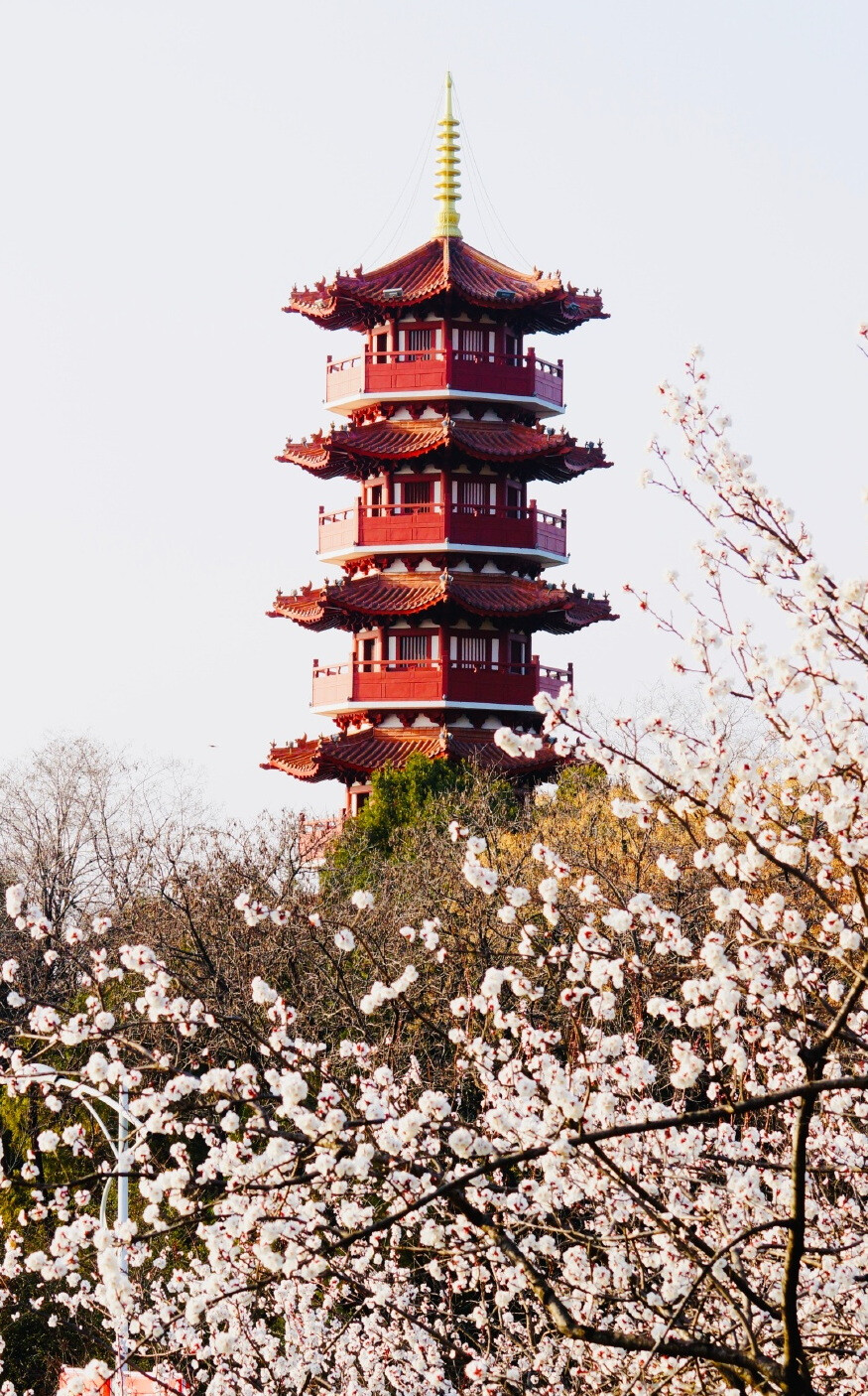 苏徐州云龙湖金山塔