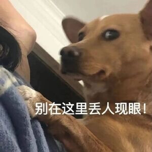 表情包