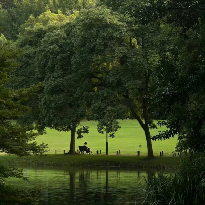 背景·图源微博