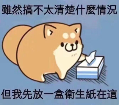 表情包