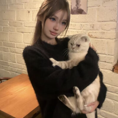 礼貌拿
