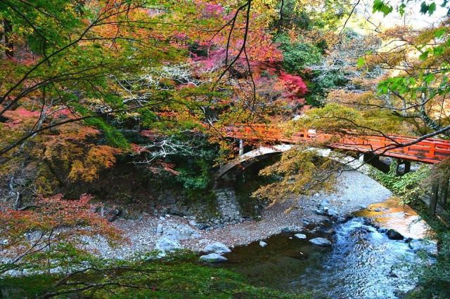 西明寺，京都