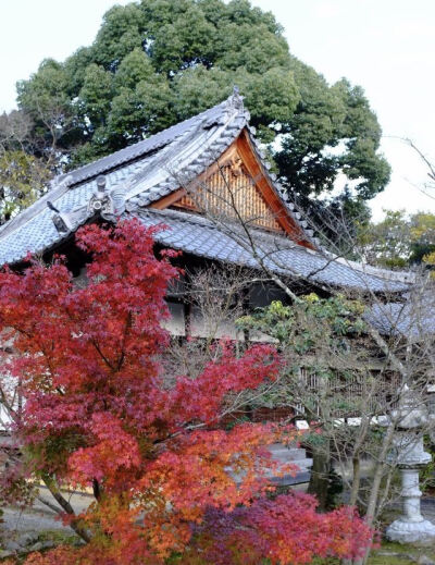 西明寺，京都