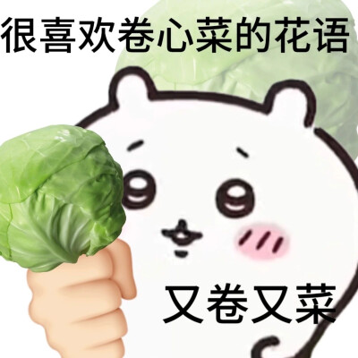 吉伊卡哇chiikawa花语表情包